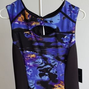 Cynthia Rowley color block dress